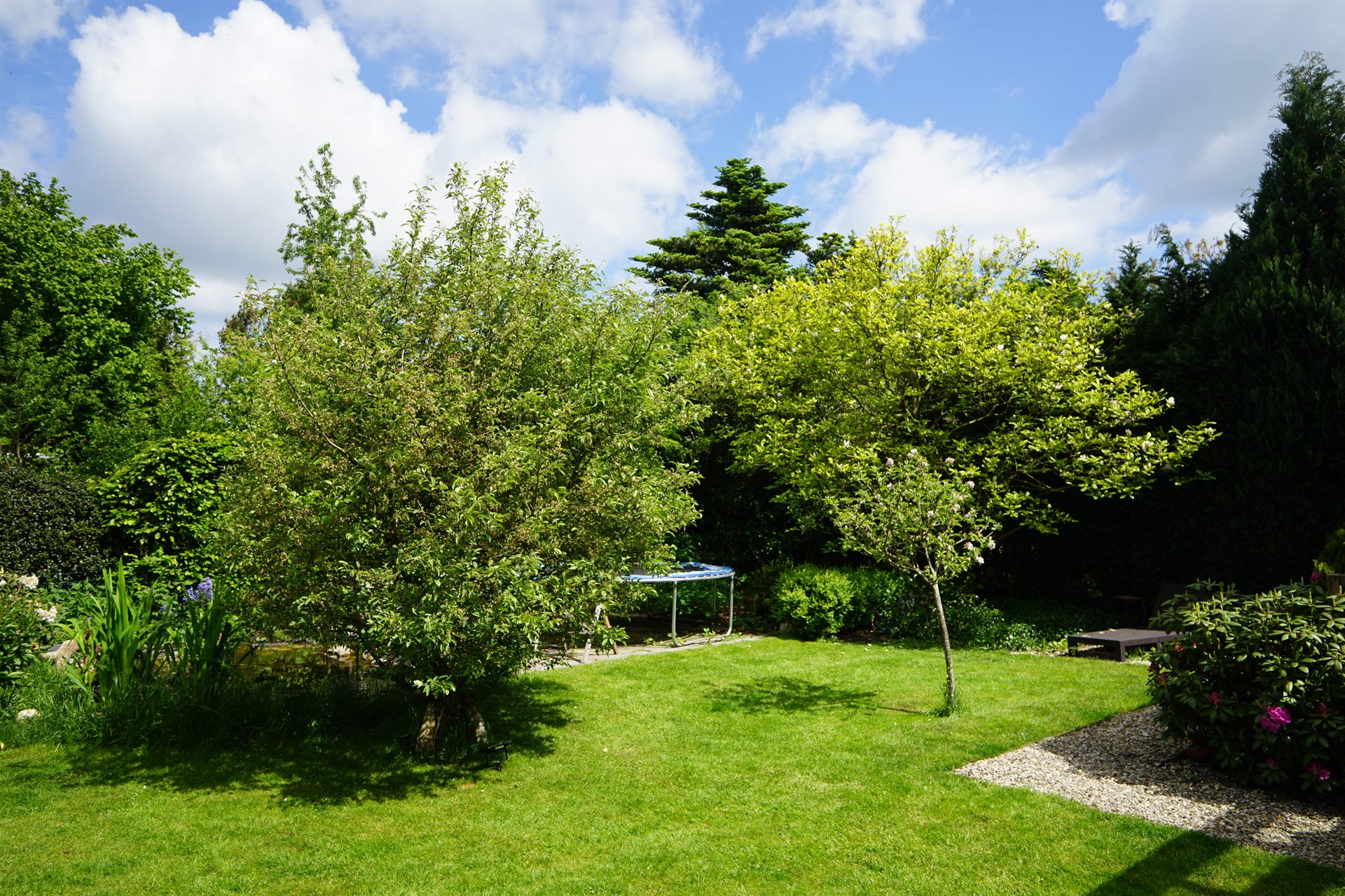 Sommerlicher Garten